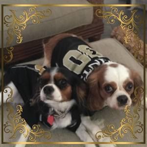 Meet your Posher, Shari